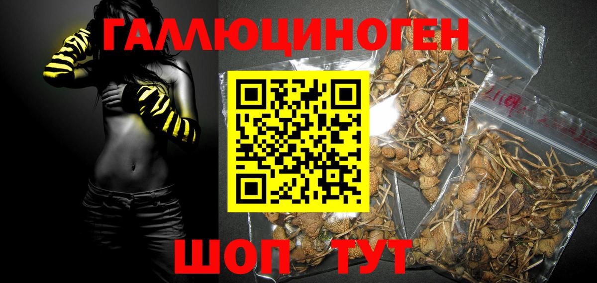 Псилоцибиновые грибы MAGIC MUSHROOMS  Вход с VPN  Всеволожск 