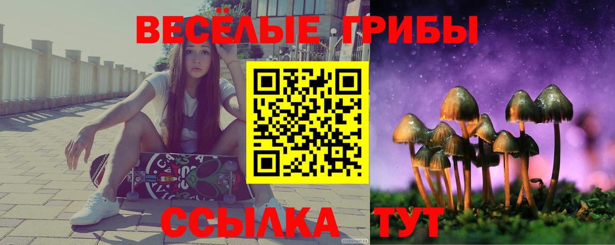 Галлюциногенные грибы Psilocybe Всеволожск